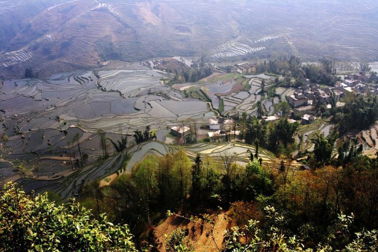 Duoyishu village Yuanyang rice terrace Yunnan